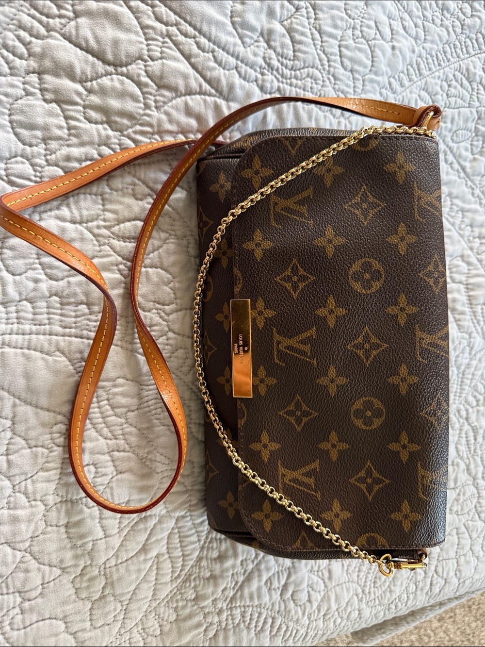 Louis Vuitton Monogram Favorite MM in Brown with Gold Hardware